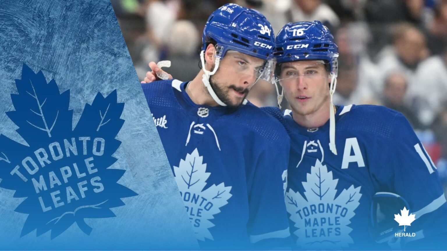 Leafs Herald fan reaction